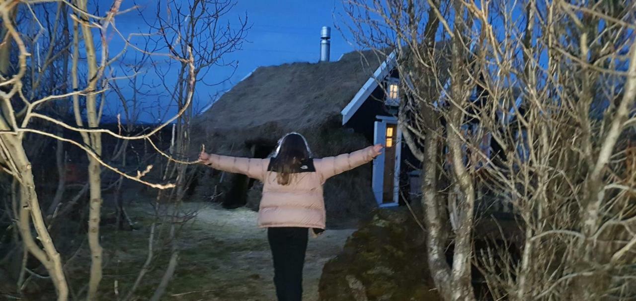 Þingvellir Golden Circle Cottage Veithilundur Εξωτερικό φωτογραφία